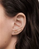 Orecchini PDPaola Donna COLOR in Argento AR01-C79-U - AR01-C79-U